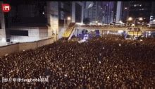hong kong news reddit.